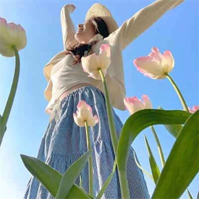 疯狂的飞机
